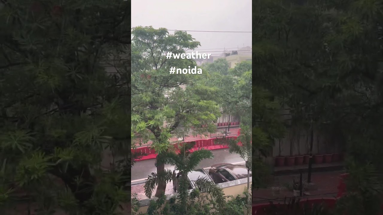 Current weather of noida 