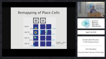 Context identification in the hippocampus