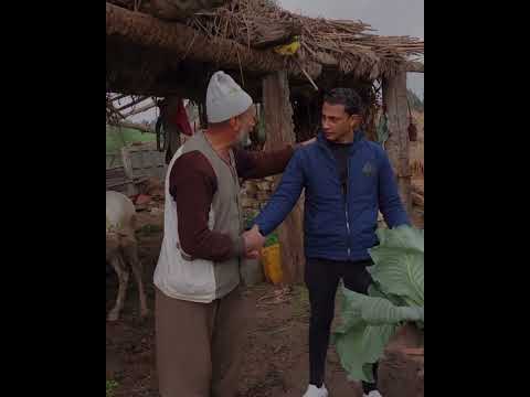 لا يزال جبريل يوصيني بالجار