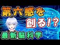 [ 脳科学 ] 地磁気を感じる脳！？ 第六感を人工的に作り出す研究紹介 ( 東京大学 池谷 裕二教授)  Rue  @VBLab