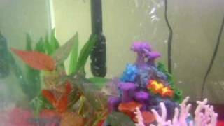 Sunday May 30, 2010 007.AVI