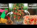 Excellent Idea | Organic Gardening using natural pesticide and fertilizer