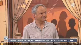 Javier Rodrigo habla del albaricoque en los informativos de Aragón TV