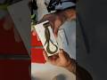 How to Make Mint Brown Soft Plastics #baitmaking #lureworks #deadonplastix