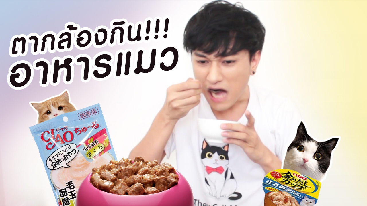 Theycallmemeaow | ตากล้องกินอาหารแมว | สรุปข้อมูลที่สมบูรณ์ที่สุดเกี่ยวกับแมว กิน อาหาร