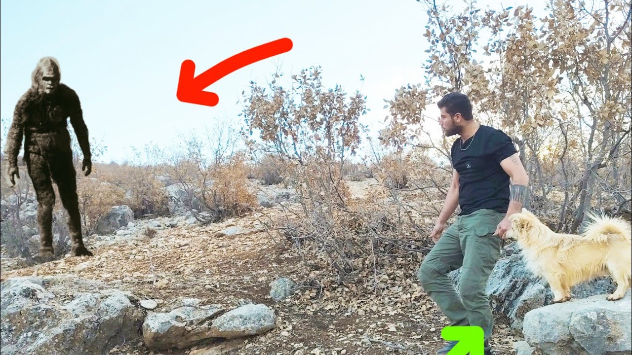 mojod marmoz kuhostan baghenar | taqib shabaneh mohsan mard eshayeri!