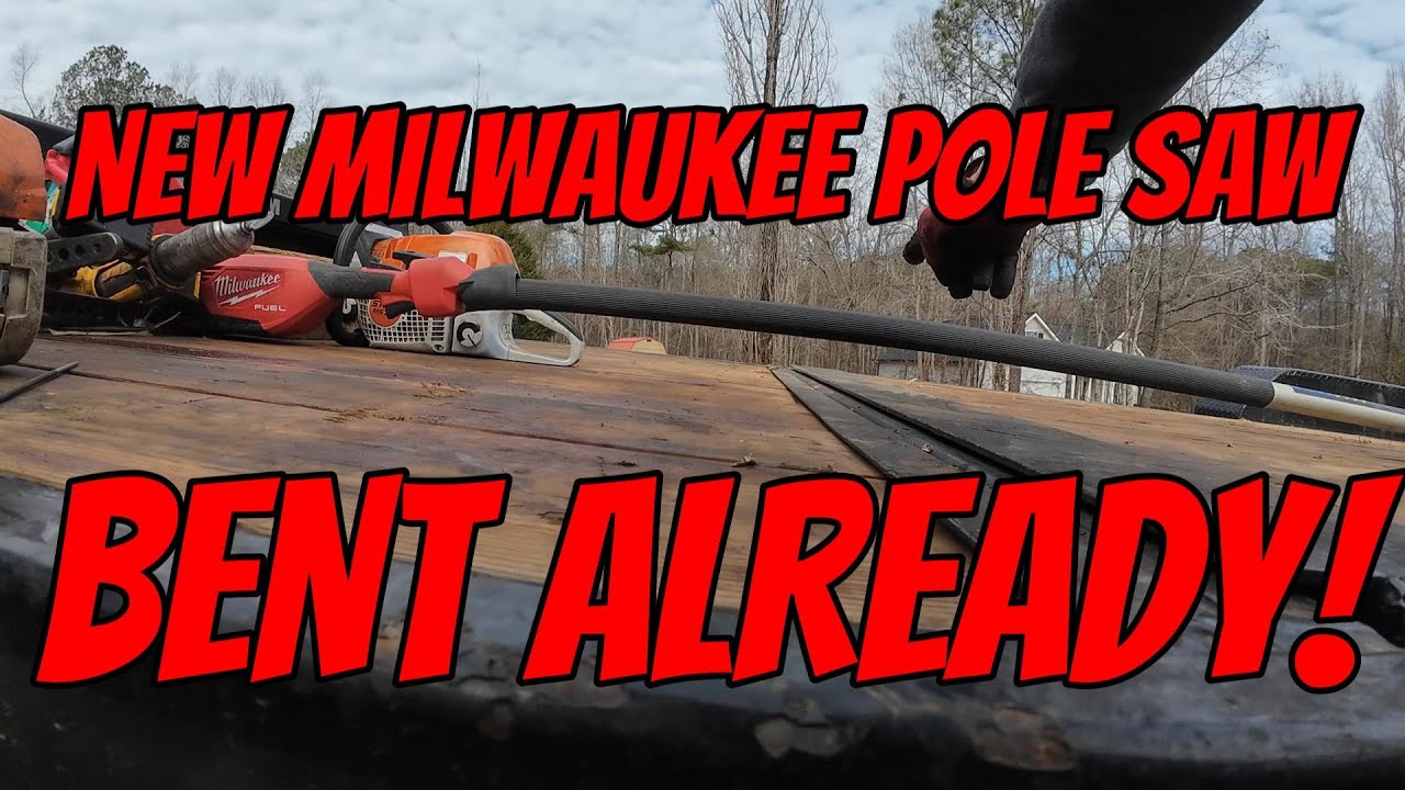 SOLO DAY ON TREE JOB