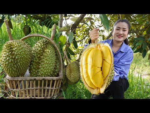 Durian Fruit Location