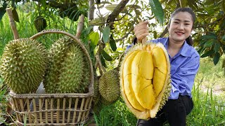 '' Durian fruit season '' Have you ever harvested durian fruit and cooked ?  Countryside life TV