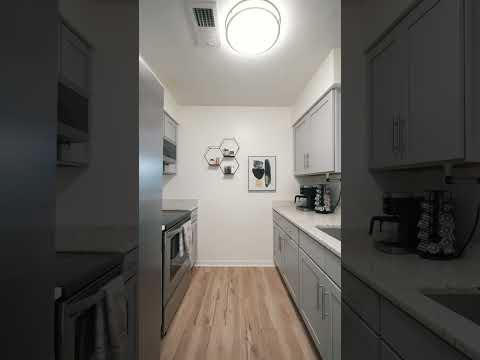 1028 Boagie Ct, Virginia Beach, VA home video tour