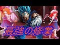 【ゆっくり茶番】 最強の修業!極める合体戦士
