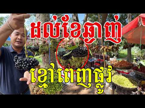 ដល់ខែឆ្ងាញ់ ខ្មៅពេញផ្លូវ ធម្មជាតិ១០០%