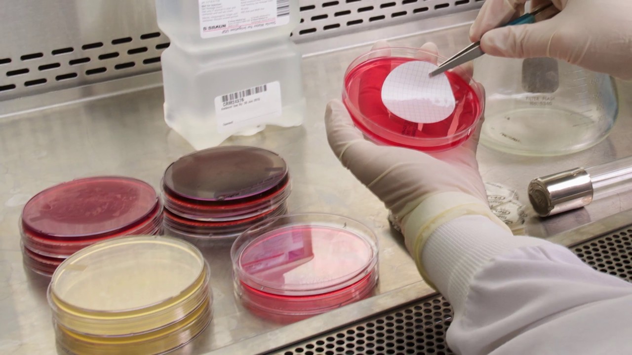 Nelson Labs: Life Science Ecosystem