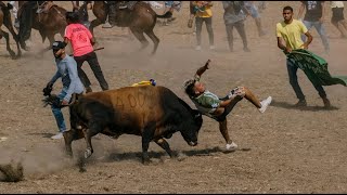 Funny videos | Bullfighting Festival #3 | Stupid people | Troll |Bull Fails| Try Not to Laugh|#2024