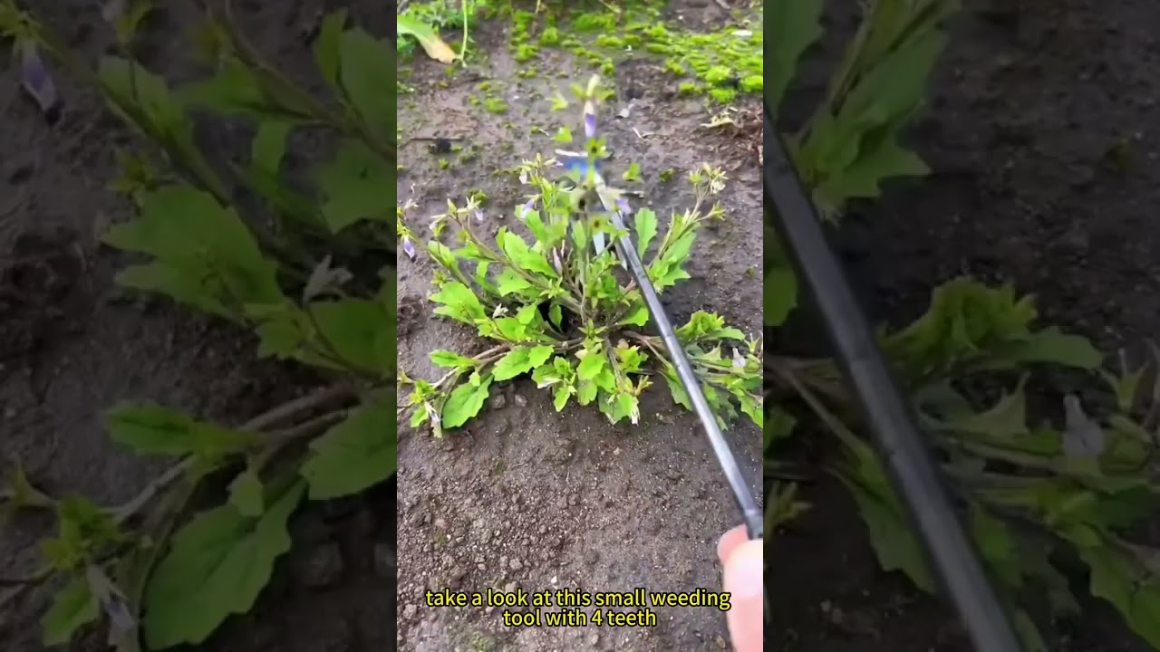 New Weeding Artifact Uprooting Weeding Tool 