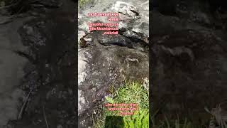 #nature #mountains #smallwaterfall #saveearth #support