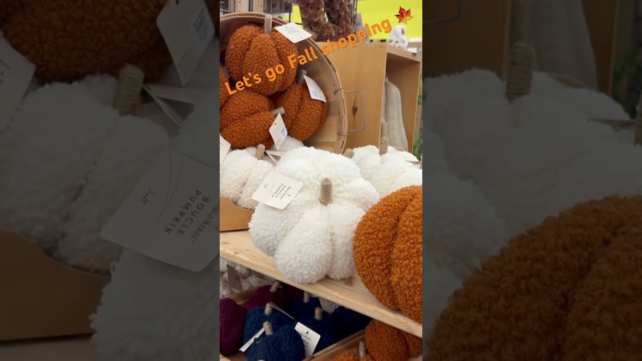 World Market 🍁Fall Shopping