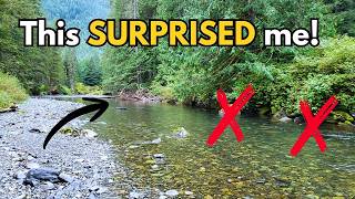 Exploring a river underwater for fish from estuary to headwaters... there were some surprises (Ep36)