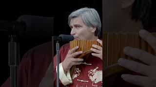 Download Lagu Pan-Flute performance of “A Spray of Plum Blossoms” – a heartfelt and delicate musical journey. MP3