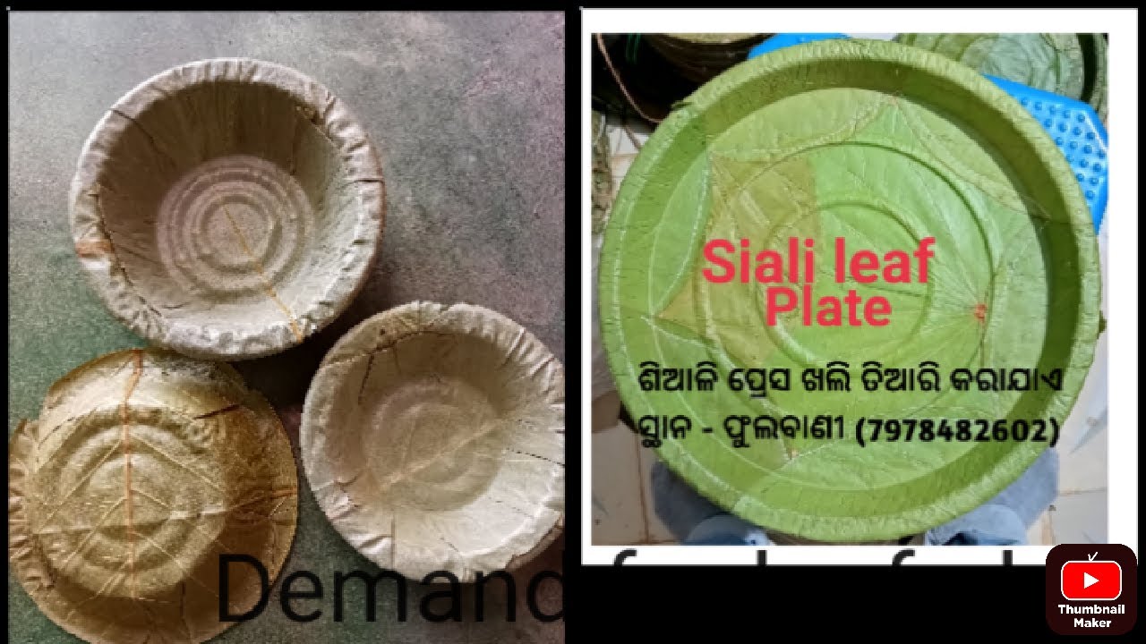 Siali leaf Buffet Plate # 100% Biodegradable natural leaf Buffet plate # healthy products #