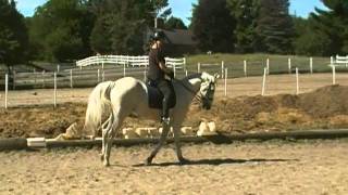 SDV_0037.MP4