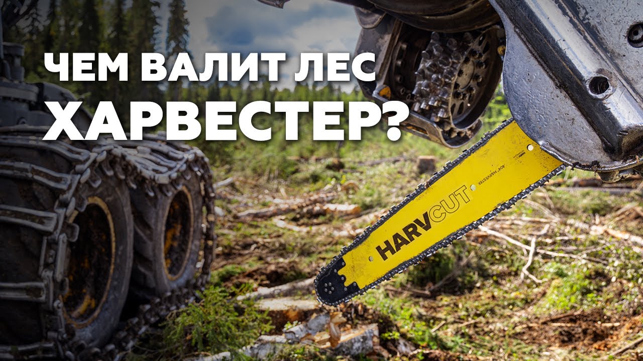 😎 Чем заготавливает лес Харвестер?