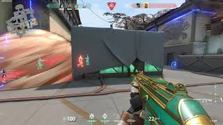 Phoenix Ultimate bug