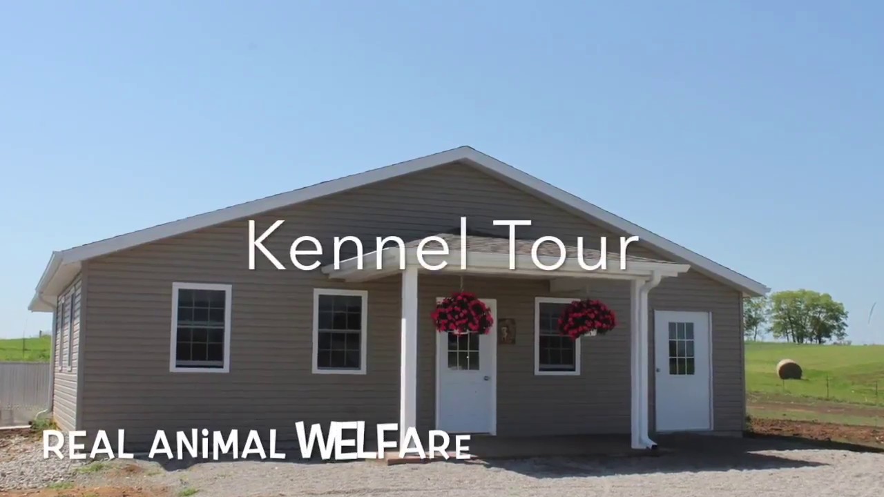 USDA Licensed Kennel - Episode #1