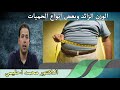 السمنة او الوزن الزائد كيف تتخلص منه وهل بعض الحميات ضارة ولا نافعة الدكتور محمد احليمي