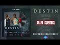 23 gang destin