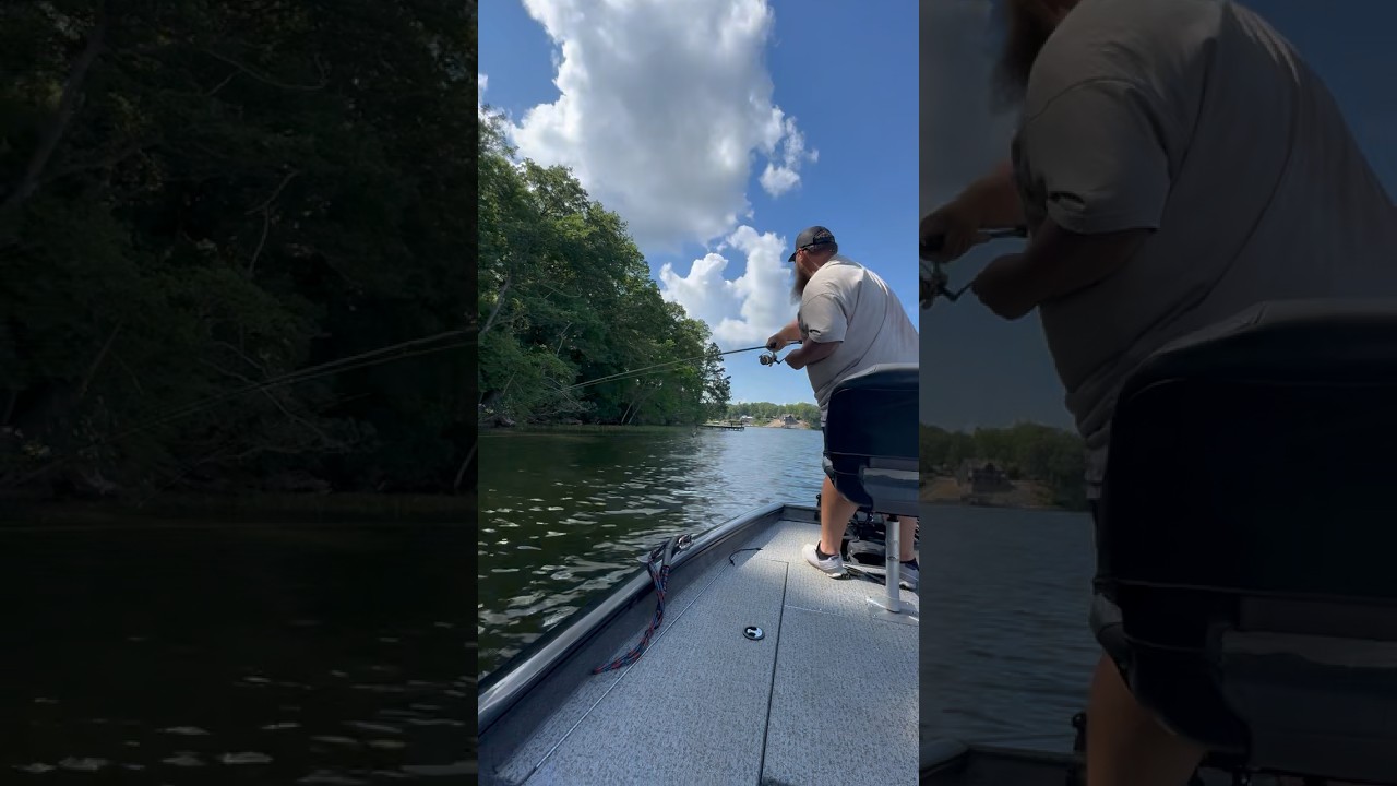 LOOK AT THAT JUMP!!!  