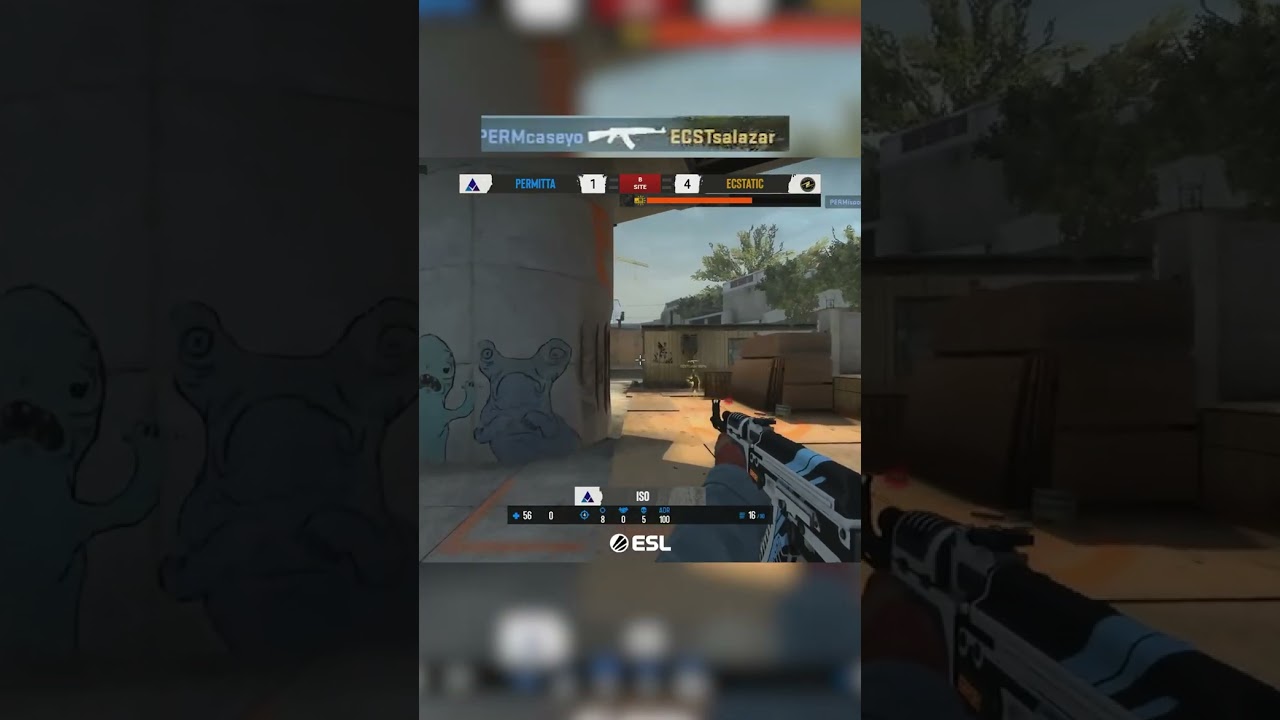 CSGO WTF MOMENTS NO SENSE NANI ?? 1 VS 4  