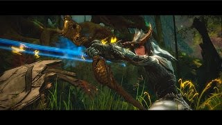 Guild Wars 2: Heart of Thorns – The Dragonhunter, Guardian's Elite Specialization