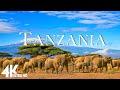 Tanzania 4K - Scenic Relaxation Film With Peaceful Relaxing Music
