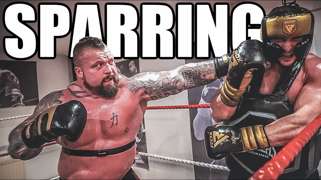 A Sparring Session Palcomix