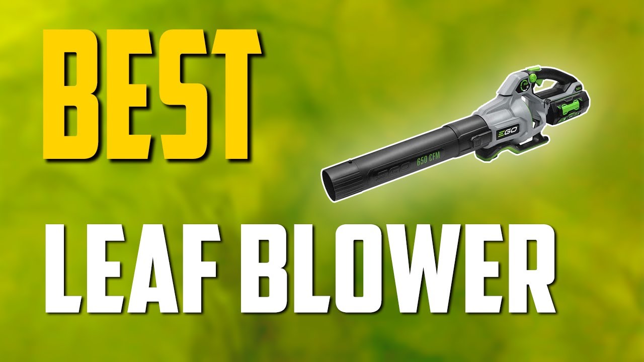 THE BEST LEAF BLOWER! (2021) | TechBee 2021