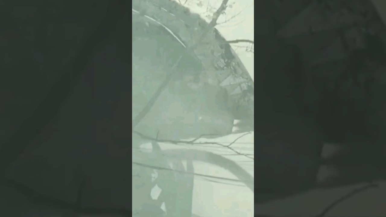 possibility of Alien Life 