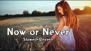 Now or Never - Dharia - (Slowed+Reverb) | Slow + Reverb | New Song 19 August 2022