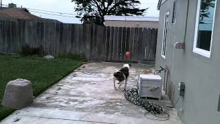 2011-4-22.MOV