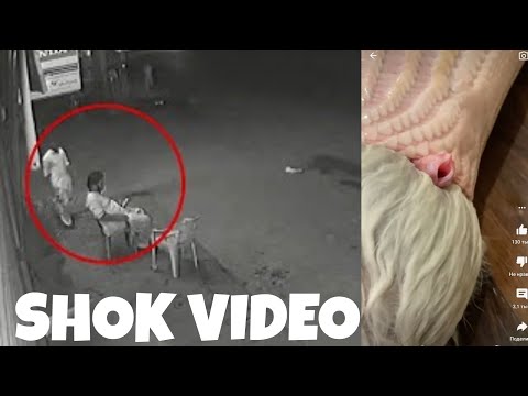 Video: Amalga oshirilmagan orzular va javobsiz sevgi: daho shoir Lesiya Ukrainka hayotidagi fojiali ekstravaganza