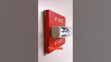 This Flashing Box Could Save Your Life 🚨