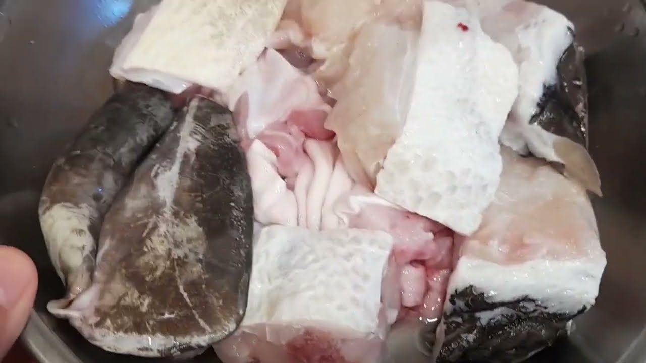 STEAM GROUPER FISH chinese style with black bean sauce / steam long tan yui 