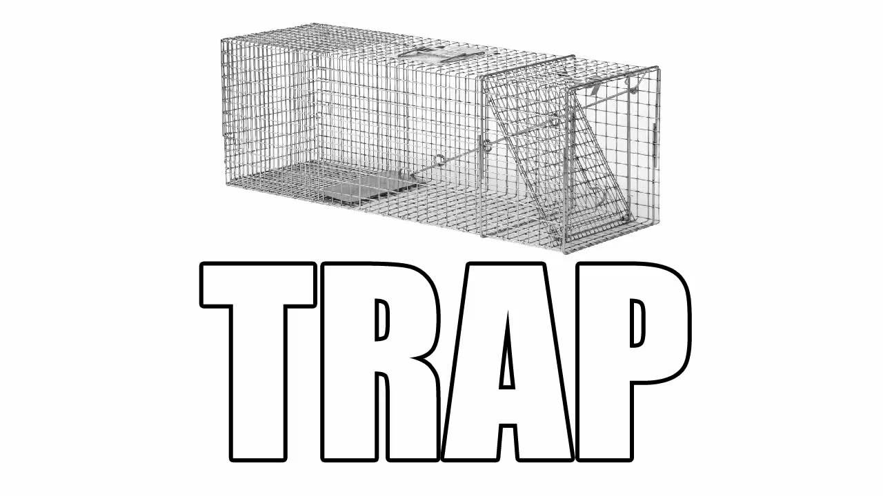 Hecton - It's a Trap!