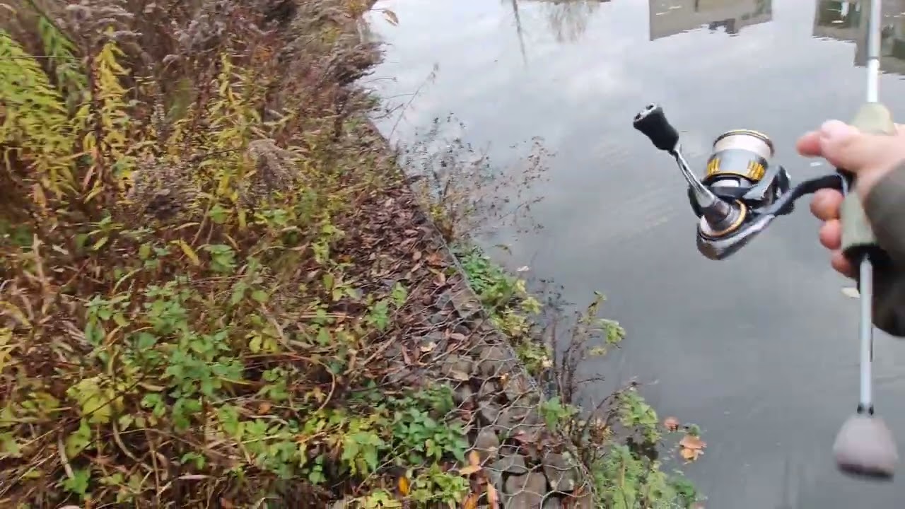 Закрытие окунёвого сезона. Mifine Ghost Blade 193 + Daiwa Airity 23 2000. 