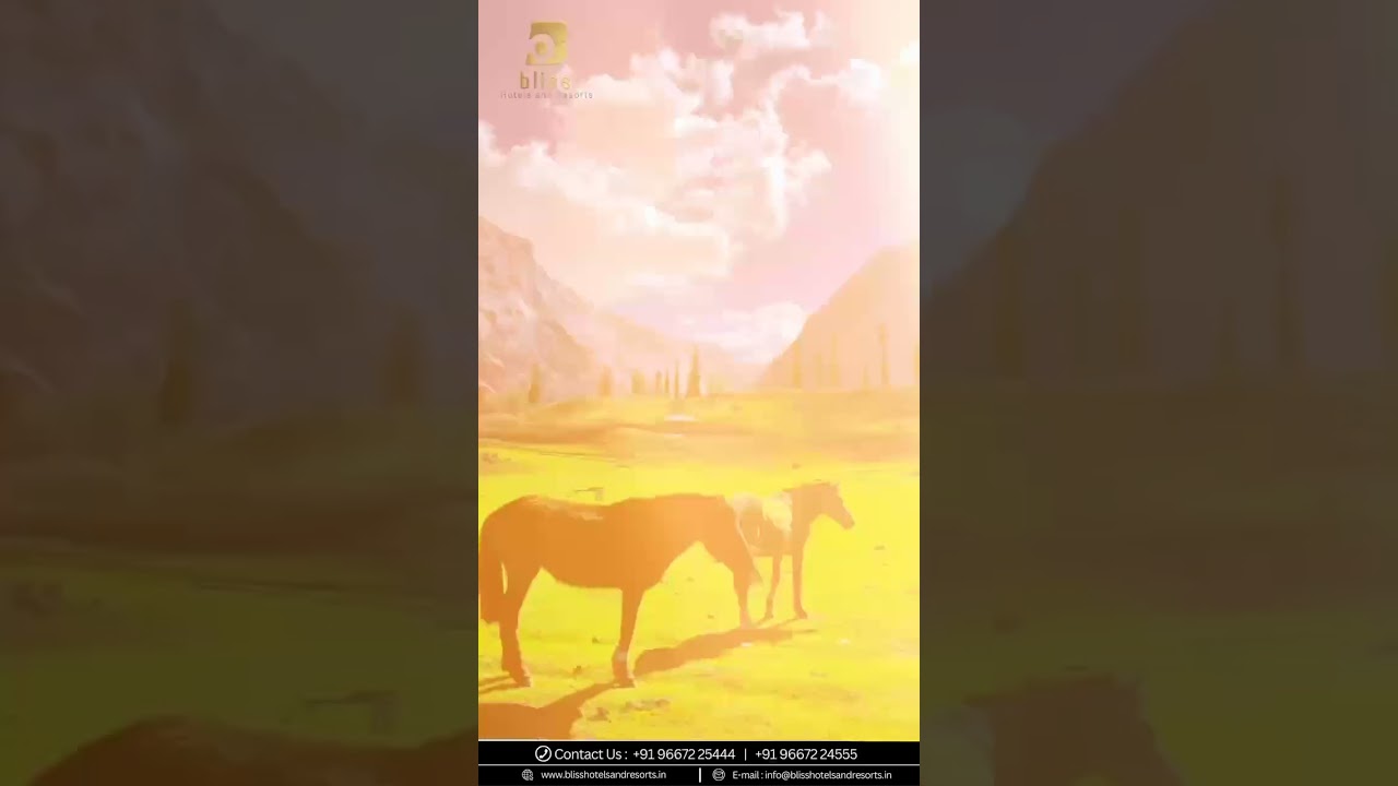 Explore snow land with Us 