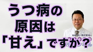 うつ病は根性で治せるか？【精神科医・樺沢紫苑】