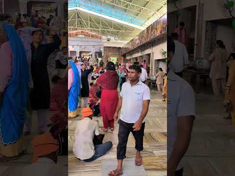 अपनी ठाकुरनी #youtubeshorts #youtube #love #vc007