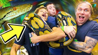 Getting A New Giant Snake Brian Barczyk