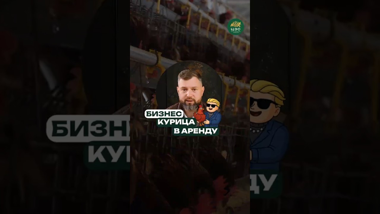 Фермерский бизнес для всех — попробуй курицу в аренду!