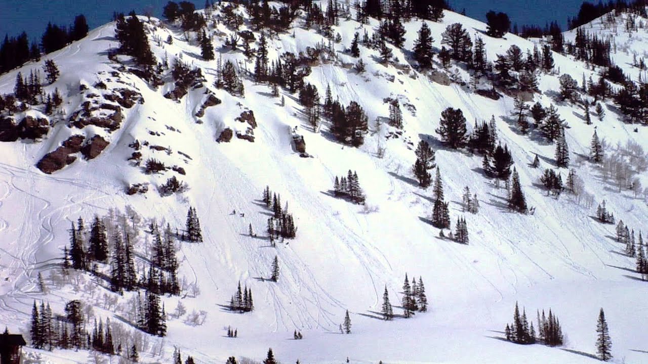 Backcountry Pow Turns